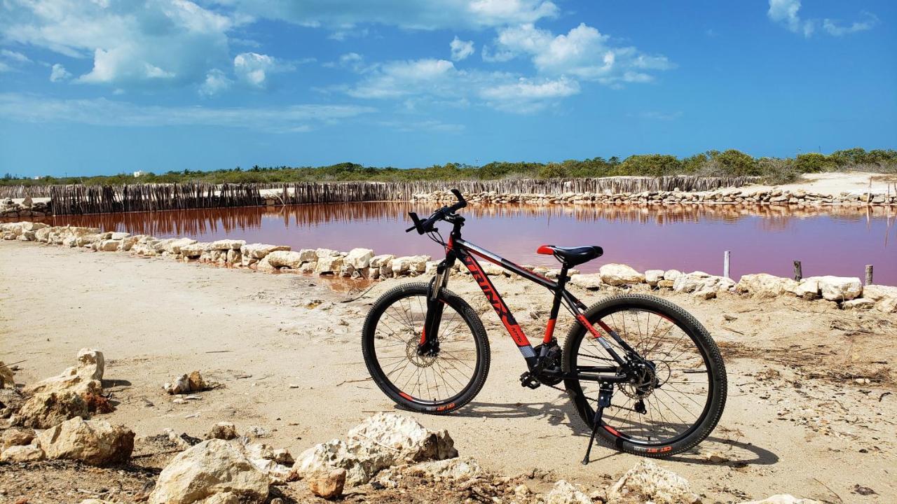 Reef Yucatan All Inclusive & Convention Center Mérida Εξωτερικό φωτογραφία