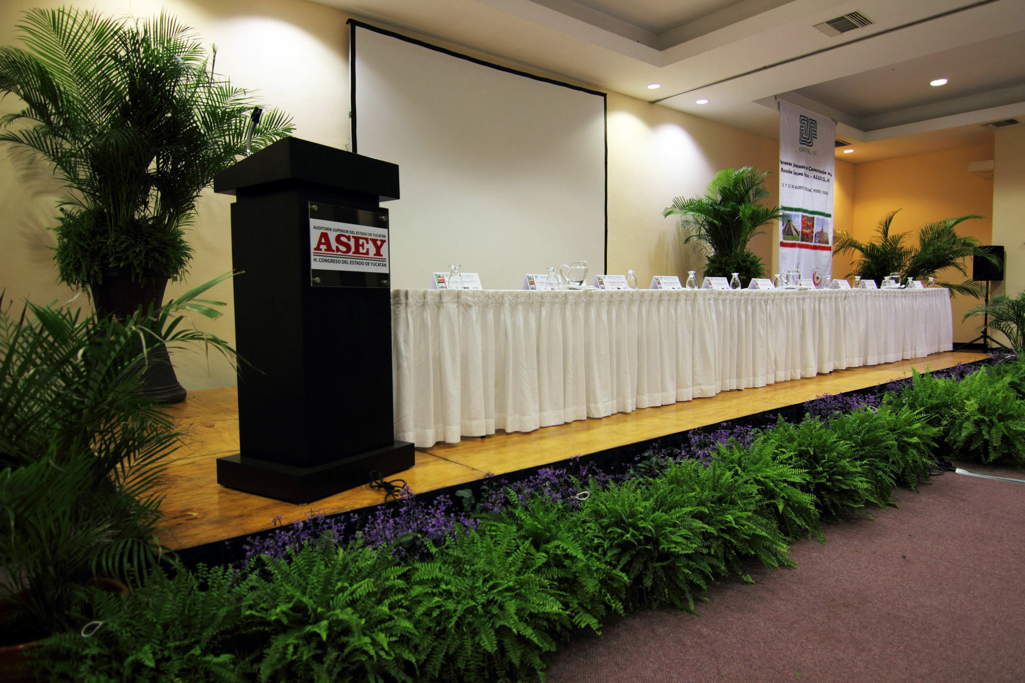 Reef Yucatan All Inclusive & Convention Center Mérida Εξωτερικό φωτογραφία